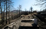 Un cimetière endommagé après des incendies de forêt à Skenderbegas, près de Gramsh, dans le centre de l'Albanie, le 16 septembre 2025  