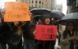 "Ni una menos" (pas une de moins) sur une pancarte lors d'une manifestation contre les violences faites aux femmes, à Buenos Aires le 19 octobre 2016