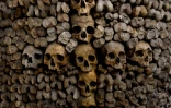 Des crânes et des ossements humains alignés contre un mur des catacombes de Paris, le 24 mars 2026