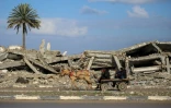 Dans les ruines d'al-Mughraqa, dans le centre de la bande de Gaza, le 13 février 2025