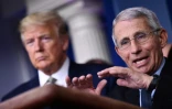 Anthony Fauci et Donald Trump Ă la Maison Blanche le 17 mars 2020