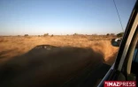 Parc Kruger (Afrique du Sud)