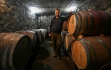 Le viticulteur hongrois Viktor Keszler pose dans sa cave, le 6 novembre 2025 à Zalaszentgrot, à environ 200 km à l'ouest de de Budapest
