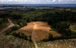 Le cimetière Nossa Senhora Aparecida à Manaus, au brésil, le 22 janvier 2021