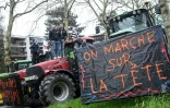 Des agriculteurs se tiennent sur un tracteur en face du bâtiment de Rennes Métropole, le 1er février 2024 à Rennes