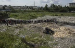 Une foule amassée sur les lieux de la découverte des corps mutilés de six femmes, dans une décharge de Nairobi le 12 juillet 2024