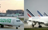 Un avion Boeing 737-800 de la compagnie aérienne Transavia le 26 juin 2020 à l'aéroport d'Orly (gauche) et des avions de la compagnie aérienne Air France le 24 septembre 2014 à l'aéroport Charles de Gaulle à Roissy