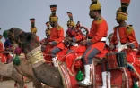 Les musiciens de l'armée pakistanaise jouent de la cornemuse à dos de dromadaires, le 13 novembre 2015 à Moj Garh, à 100 km à l'est de la ville de Bahawalpur, dans la province du Pendjab