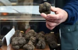 Vente de truffes le 20 décembre 2015 sur le  marché de Rognes