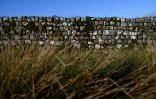 Une partie du mur d'Hadrien près d'Hexham, dans le nord de l'Angleterre, le 19 janvier 2022