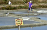Un panneau d'opposition au projet d'aéroport de Notre-Dame des Landes est planté dans les salines de Batz-sur-Mer (Loire-Atlantique) où la récolte du sel de Guérande bat son plein, le 16 août 2016