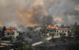 Un feu de forêt s'étend dans le village d'Afnides (Grèce, 30 km au nord d'Athènes), le 6 août 2021