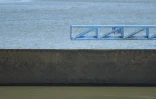 Un béluga, repéré dans la Seine, à proximité de l'écluse de Notre-Dame-de-la-Garenne (Eure), le 6 août 2022
