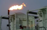 l'Irak s'est allié à plusieurs autres pays producteurs pour annoncer dimanche une réduction de 211.000 barils par jour de sa production dès mai