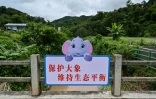 Panneau à l'effigie d'un éléphant dans la ville de Xiangyanjing, dans la province de Yunnan, en Chine, le 20 juillet 2021