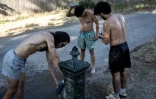 Des gens remplissent leur gourde et s'aspergent d'eau, le 11 juillet 2026 au bois de Vincennes, Ă Paris