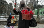 Une femme vend des roses et une autre assise par terre avec un enfant, répare des chaussures, le 16 janvier 2022 dans une rue de Kaboul, en Afghanistan