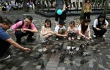 Des touristes de Chine continentale nourrissent des pigeons sur le front de mer de Tsim Sha Tsui Ă Hong Kong, le 1er mai 2024