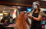 Salon  de coiffure à Birkenhead, le 4 juillet 2020 au premier jour de sa réouverture après 3 mois d'inactivité