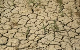 Un sol craquelé par la sécheresse dans la région agricole de Jaliha, dans le centre de l'Irak, le 26 avril 2022