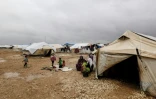 Des femmes et des enfants en provenance de Deir Ezzor et ses environs dans un camp de déplacés, dans la province syrienne de Hassaké (nord-est), le 15 novembre 2018