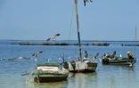 Photo montrant des bateaux de pêche le long de la côte des îles Kerkennah, au sud de Tunis, le 15 avril 2024