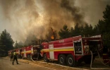 Des pompiers slovaques essayent d'éteindre le feu de forêt près du village de Avgaria sur l'île grecque d'Eubée le 10 août 2021