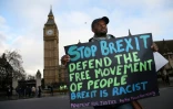 Manifestation anti-Brexit devant le parlement britannique, le 1er février 2017