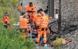 Des employés de la Sncf s'emploient à réparer les dégâts causés par un acte de sabotage, le 26 juillet 2024 à Croiselles (Pas-de-Calais)