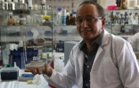 Le marocain Adnane Remmal, chef du laboratoire de biotechnologie de l'Université Sidi Mohamed Ben Abdallah de Fès, au centre du Maroc, le 30 juin 2017