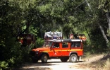 Des voitures de pompiers le 19 juillet 2016 dans la forêt entre Correns et Montfort dans le sud-est de la France