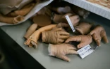 Des mains de bébés en silicone dans l'atelier de  l'entreprise Cinébébé spécialisée dans la création de bébés en silicone hyperréalistes pour des tournages de films ou de séries, le 21 janvier 2025 à Saint-Denis, près de Paris