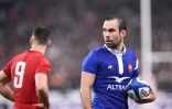 L'expérimenté Morgan Parra avec le XV de France face au Pays de Galles, en Six Nations, le 1er février 2019 à Saint Denis, près de Paris