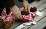 Sur le marché aux truffes de Lalbenque, dans le Lot, le 18 janvier 2022  