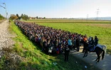 La police escorte des migrants et des réfugiés après avoir traversé la frontière entre la Croatie et la Slovénie, le 24 octobre 2015
