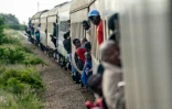 Le "train de la liberté circule bondé le 29 janvier 2019 au Zimbabwe