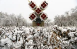 Une fusée Soyouz érigée en monument dans la ville de Baïkonour, le 7 décembre 2021 au Kazakhstan