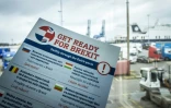 Un prospectus informe les transporteurs sur les conséquences du Brexit, le 13 mars 2019 dans le port de Rotterdam, aux Pays-Bas