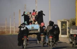 Des familles syriennes sur le chemin du retour dans leurs foyers, le 6 juillet 2018, dans la province méridionale de Deraa