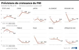 Prévisions de croissance du FMI