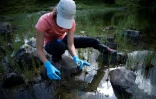 Pauline Benzi, étudiante, prélève des échantillons d'eau dans le lac Labant, le 23 juin 2022 à Aulus-les-Bains, en Ariège