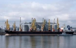 Un vraquier au terminal céréalier du port d'Odessa, le 10 avril 2023 en Ukraine 