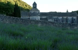 Notre Dame de Sénanque, en juin 2016