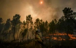 Un pompier lutte contre un incendie, le 22 juillet 2019 à Casais de Sao Bento, dans le centre du Portugal