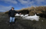 L'archéologue Rick Knecht, qui mène des fouilles depuis dix ans près de Quinhagak, en Alaska, montre le 12 avril 2019 l'endroit où des artefacts anciens ont été découverts