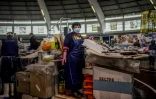 La Portugaise Emilia Lomba, poissonnière, sur un marché de Lisbonne le 23 avril 2020