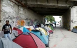 Le long du canal Saint-Denis, le 17 juillet. Le collectif comptabilisait 166 tentes il y a un mois, contre plus de 400 désormais