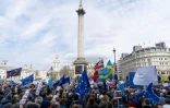 Manifestation des anti-Brexit à Londres, le 23 mars 2019