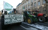 Des membres de la FDSEA et des JA participent à un rassemblement contre l'accord entre l'UE et le Mercosur, le 7 janvier 2026 à Strasbourg (Bas-Rhin)