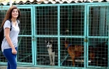 Assan Attallah, une étudiante irakienne en école d'agriculture, dans un refuge pour chiens et chats, le 20 septembre 2017 à Bagdad